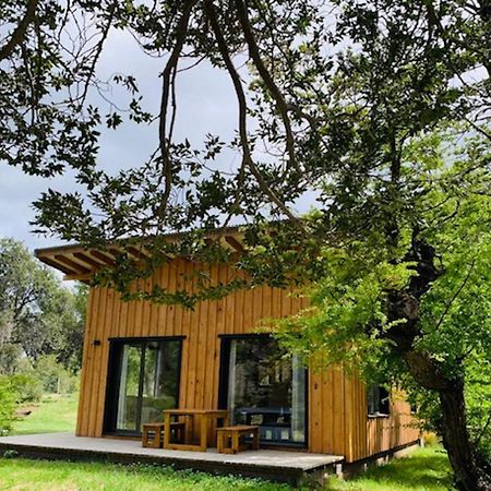 Kingfisher de los Andes Villa Meliquina Eksteriør billede