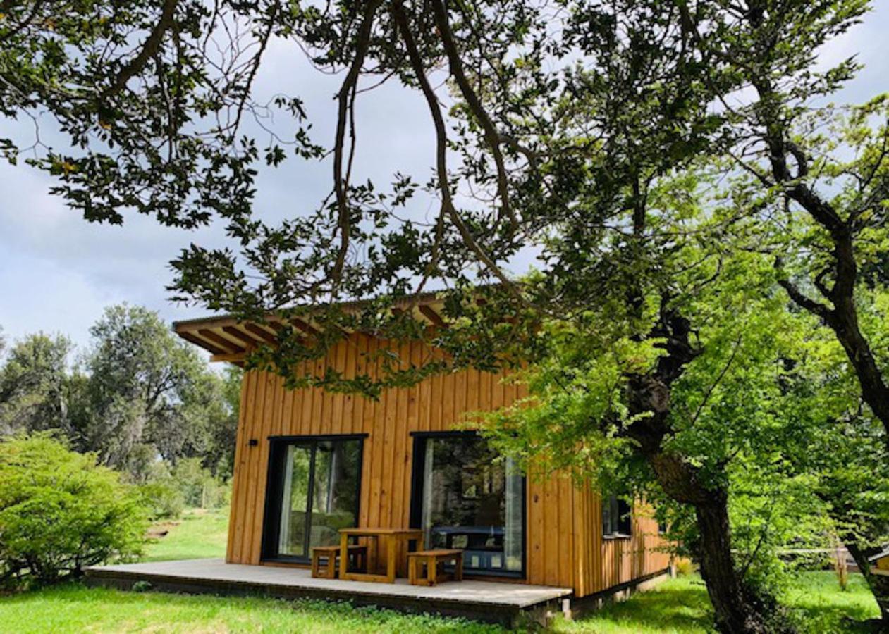Kingfisher de los Andes Villa Meliquina Eksteriør billede